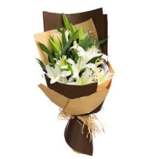 Perfect Lily For Him to Macau