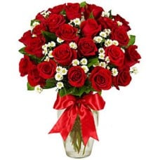 18 Red Rose to Macau
