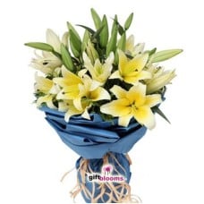 Yellow Lily Grace to Macau