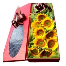 Sunflower Box to Korea