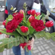 Tulips & Carnations Bouquet "Marta"