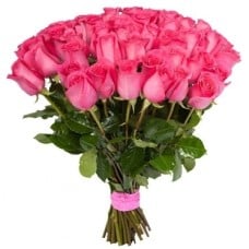 Elite Long Stem Pink Roses (5 stems)
