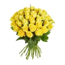 Classic Yellow Roses(5 stems)