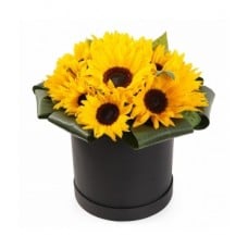 Sunflowers at the Hat Box