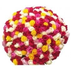All Colors of the World (7 stems)