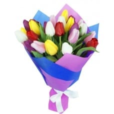 Life is Wonderful - Tulips from 11 to 101 (11 stems)