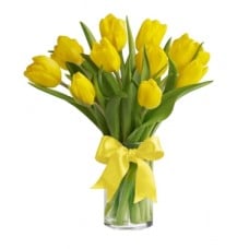 Yellow Tulips Bouquet (Medium)