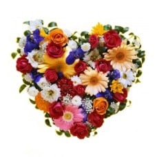 The Spring Heart