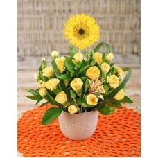 Gerbera Among Mini Carnations In Petite Vase