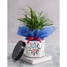Areca Bamboo For Superhero Dad
