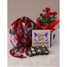 Amazing Red Rose Bush Gift Set