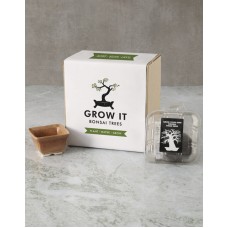 Growing Your Own Bonsai Box