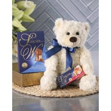 Ultimate Sally Williams and Teddy Bear Gift (Small)