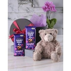 Teddy and Cadbury Chocolates in Gift Box (Medium)