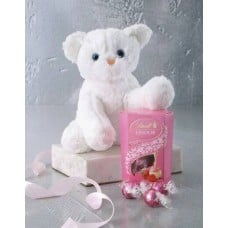 Cat Teddy And Lindt Chocolate (Standard)