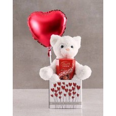 Cat Teddy And Balloon In Box (Standard)