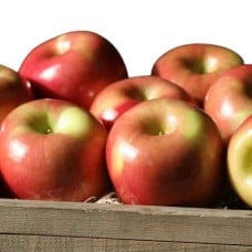 Imperial Fuji Apples