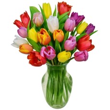 20 MULTICOLOUR TULIPS