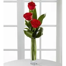 3 Red Roses