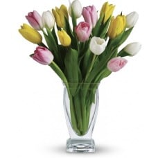 15 MULTICOLOUR TULIPS