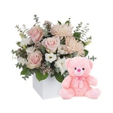 It's a Girl with Teddy (Classic)