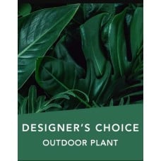 DC Outdoor plant