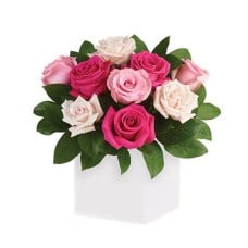 Blushing Roses
