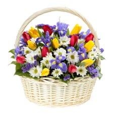 Basket 'Tulips and Iris' (Small)