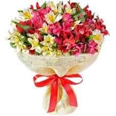 Adorable Alstroemerias (Small)