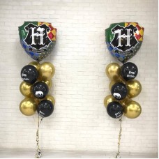 Vozdushnie,shari,Harry,Potter