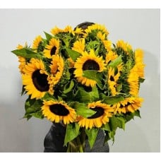 Bol_shoj,bouquet,sunflower,premium,21,pcs