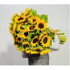 45,sunflowers