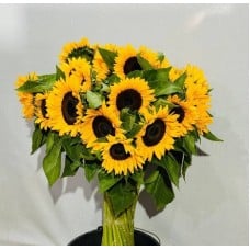 51,premium,sunflower,seeds