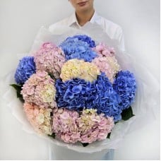 Like,a,bouquet,of,pink,and,blue,hydrangeas