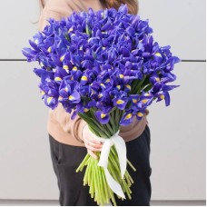 Bouquet,of,flowers,"Iris,garden"