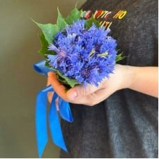 Cornflowers