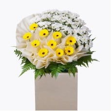 Inspiring Memory Condolence / Funeral Flowers