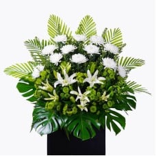 Solace Condolence / Funeral Flowers