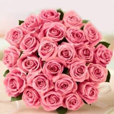 Pink Sensations