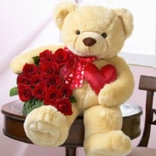 Shy Teddy