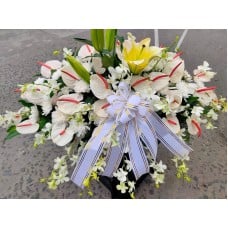 White Anthuriums Basket
