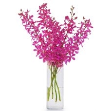 10 Stem Purple Orchids in Vase