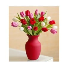 Assorted Tulips