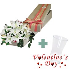 Pure Love (3 Lily Stems)