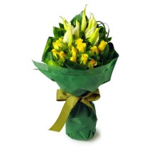 Noble Calla Lily