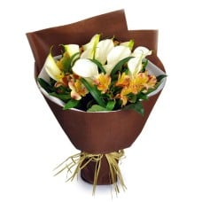 Purity Of Calla Lily