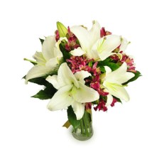 Elegant Lilies