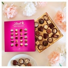 Lindt Mini Pralines Selection 100g