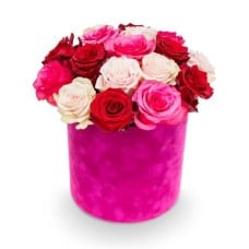Flower of box – Enora (Small)