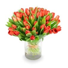 Bouquet of red tulips – Victoria (Small 21pcs)